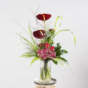 Strauß Anthurie rot/rosa